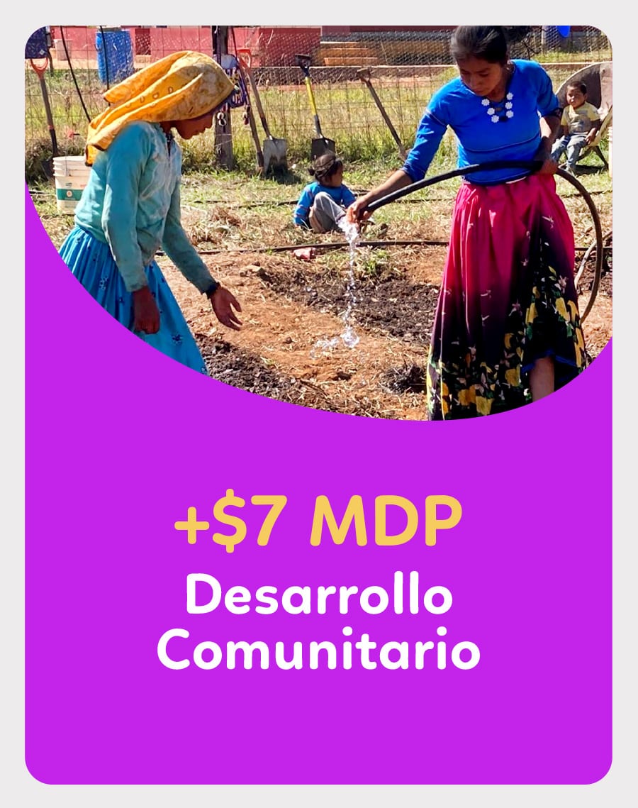 mujeres-regando-plantas-agua Mujeres regando plantas