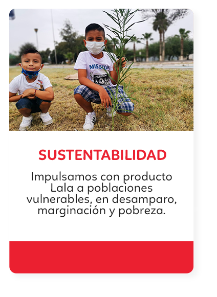 sustentabilidad-nino-con-arbol Niñas sonriendo